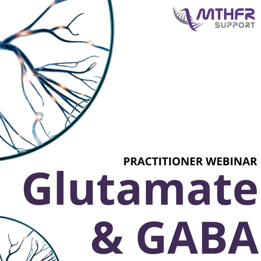 Glutamate & GABA