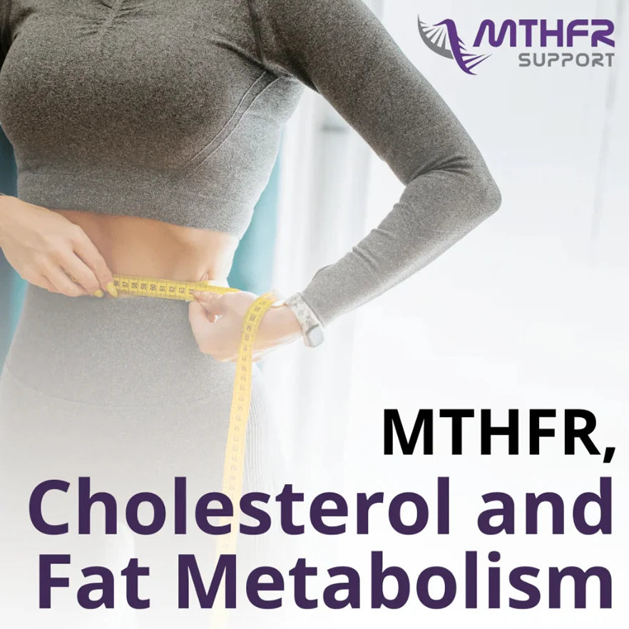 Practitioner Webinar: MTHFR Cholesterol and Fat Metabolism