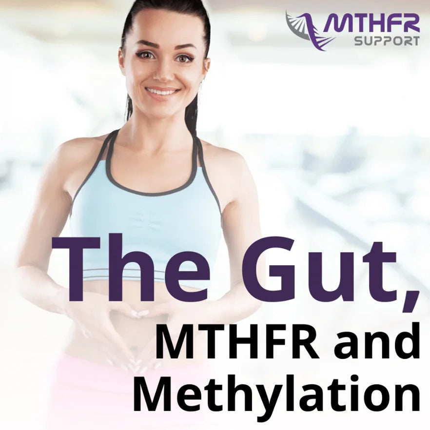 Practitioner Webinar: The Gut, MTHFR and Methylation